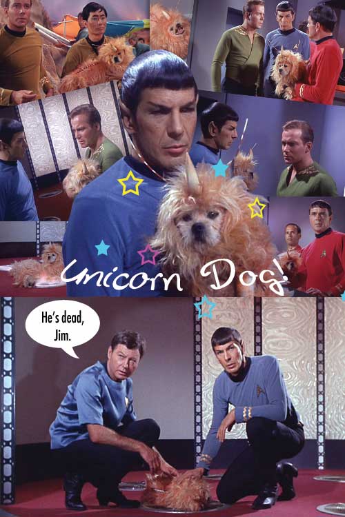 Unicorn Dog collage