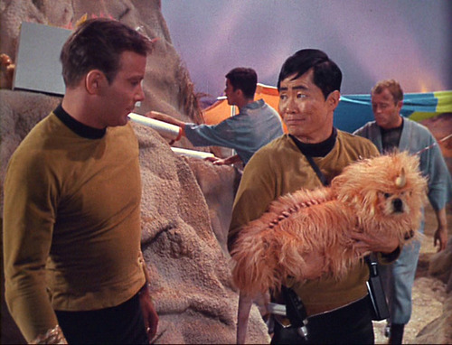 Sulu shows Kirk the unicorn dog