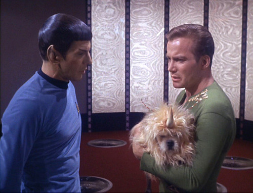Kirk holds the unicorn dog and talks to Spock in the transporter room