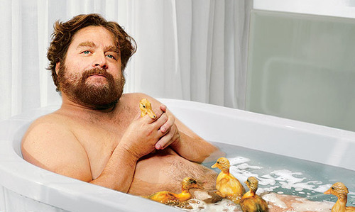 Zach Galifianakis in a bathtub with real ducklings
