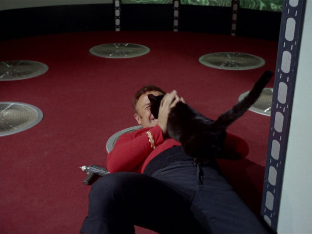 Cat knocks down a redshirt on the transporter pad
