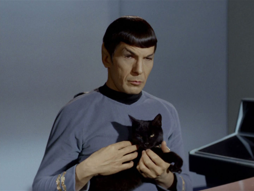 Spock holding the black cat, Isis